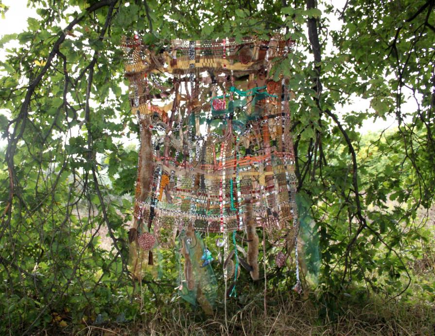 P.U.n°17 Natura Mutante