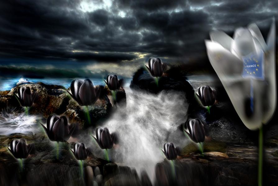 da qui non si passa fratello nero,tornatene a casa tua....viva la francia...nazione democratica .