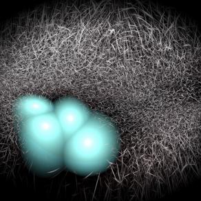 Quasi pronte per la nuova esperienza terrena 