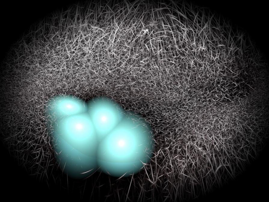 Quasi pronte per la nuova esperienza terrena 