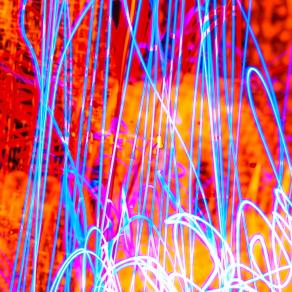 The joy of the night 