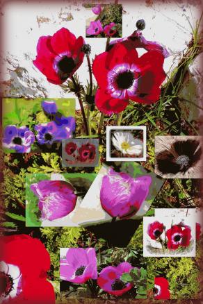 SprinG @193c CollagE