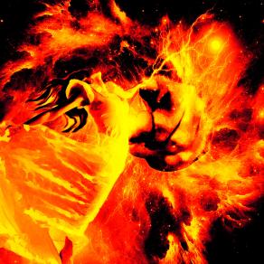 Cupido ha scoccato la sua freccia dorata e tu mi hai colpito al cuore!!!!  