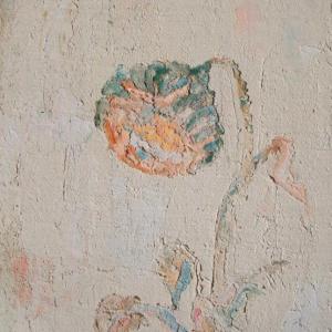 biodivesità-affresco su isolante polistirene- 60x50x2