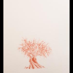 a U L I V O o f R 7 ®