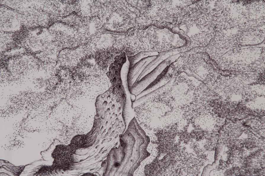 a U L I V O o f R 7 ®