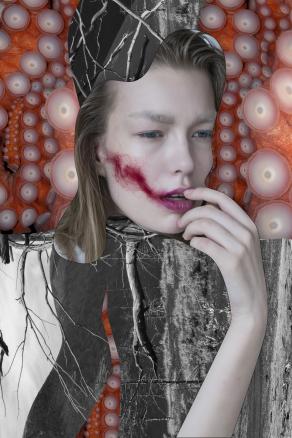 Circles and borders series