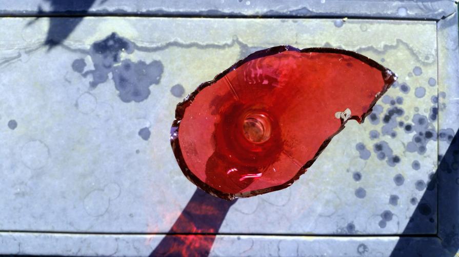 Albero Rosso Piegato dal Vento