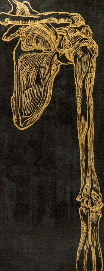 Imperishable Relics (Shoulder Blade) 