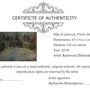 Winter slide in NYC- certificate