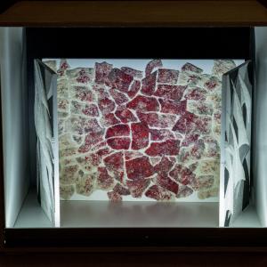 FOTO-GRAFICA AL CLUB MERIDIANA