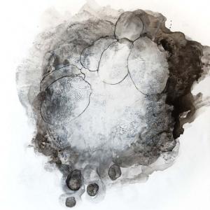 Federica Rossi, The living cell