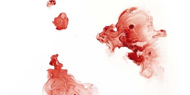 Federica Rossi, The living cell