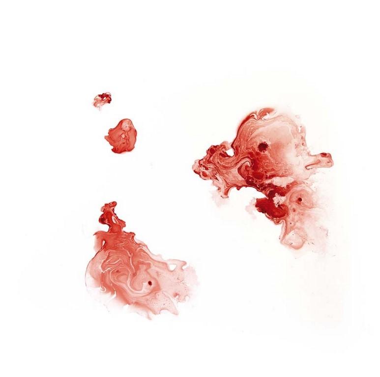 Federica Rossi, The living cell