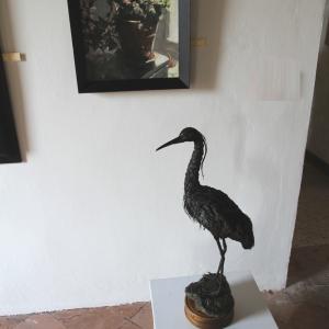 Altra Natura a Revere (mn)