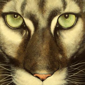 ZOO D'ARTE, L'ARCA DI NOè ALLA GALLERIA ARTEARTE DI MANTOVA