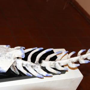 DOPPIO VERNISSAGE A CORTE ISOLANI (BOLOGNA)