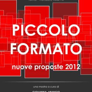 Piccolo formato -nuove proposte 2011 - Galleria Ariele,Torino