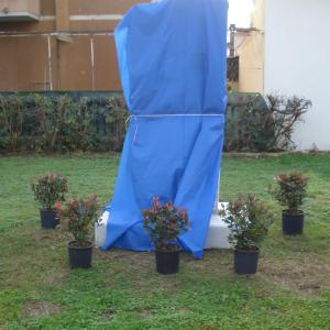 MONUMENTO “AL DONATORE DI ORGANI" 