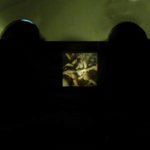 ROBERTA CONI-TENTAR LA CARNE inferno I