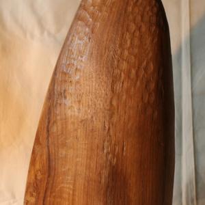 “Genio e follia” e “Il senso della vita”