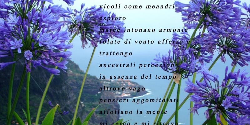 Maristella Angeli partecipa al concorso poetico “On the road” Maristella Angeli partecipa al concorso poetico “On the road”