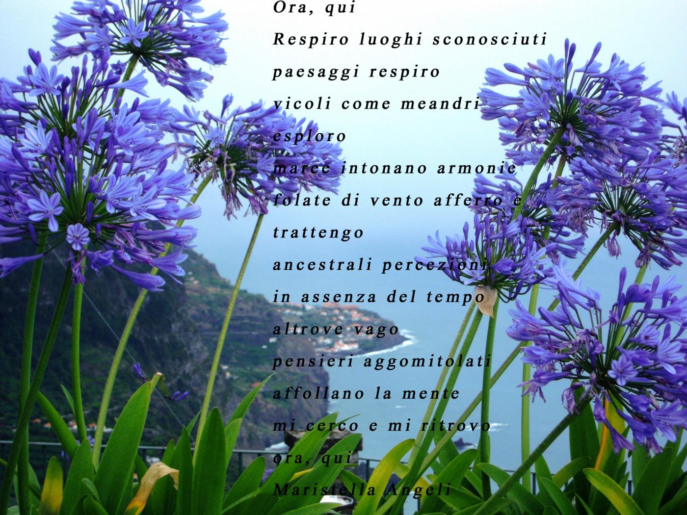 Maristella Angeli participates in the poetic contest "On the road"