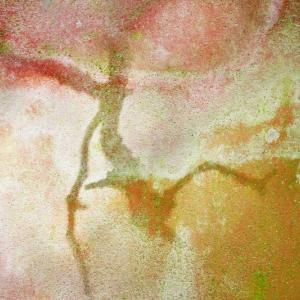 Naide Bigliardi. Stranaluce