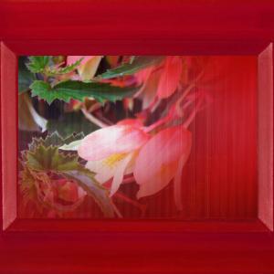 BAROQUE - Chiara Dynys