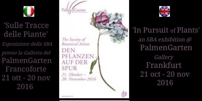 Sulle Tracce delle  Piante