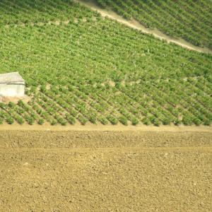 Italia. Sicilia, Trapani blu e sale