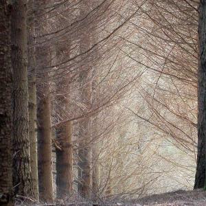 Italia. Calabria. Campagne