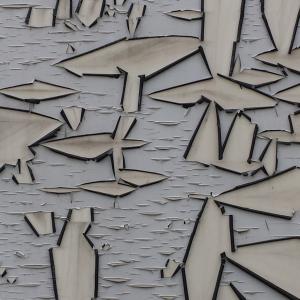 La pelle delle cose_2