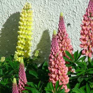 Argentina. Patagonia