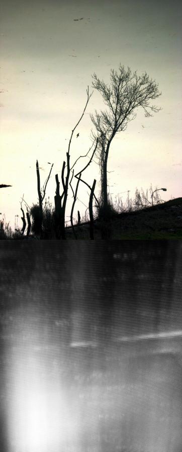 Air has taught me this: