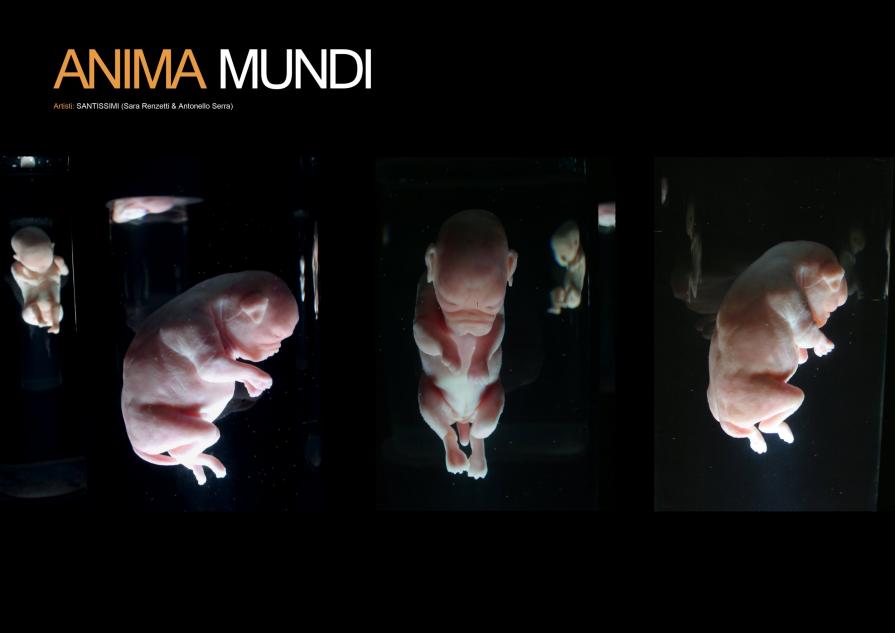 particolare cane "Anima Mundi"