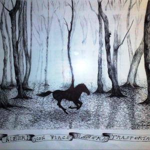 ALBERI , SOLO ALBERI , AMATI ALBERI .