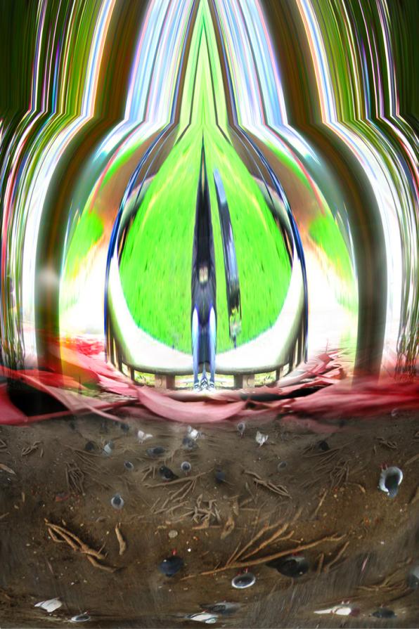 sotto gli alberi in Pilotta.