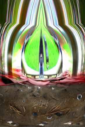 sotto gli alberi in Pilotta.