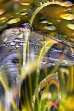  una scena preistorica,,,,,