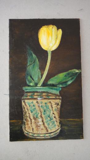 Tulpe (Tulipano in vaso)