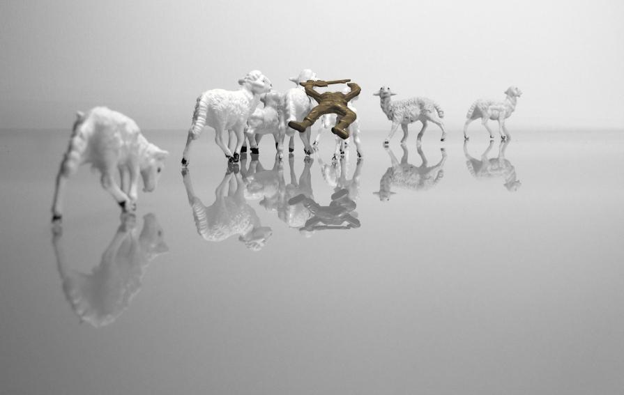 La Primavera di Quirra -  Nel loro sangue