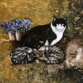 Il gatto di Vincenzo