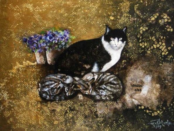 Il gatto di Vincenzo