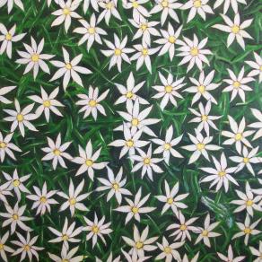 "Fiori e Allusioni opera prima