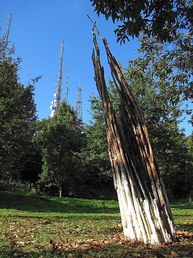 Acchiappaonde Acchiappaonde