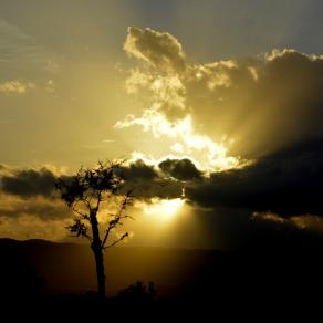 Tramonto in Toscana 101