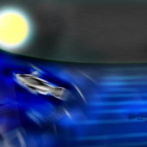 un pesce morto puo solo seguire la corrente.ma uno vivo puo'andare controcorrente (Arte Contemporanea)