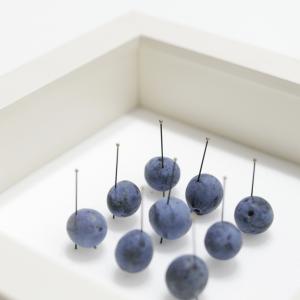 operetta vegetale operetta vegetale