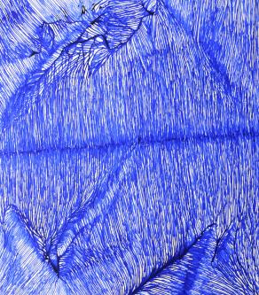 Lines - independent painting beings - Bluemetrie